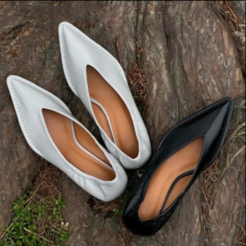 Embroidery Flat Shoes - 2025 New Pointed Toe Single Shoes