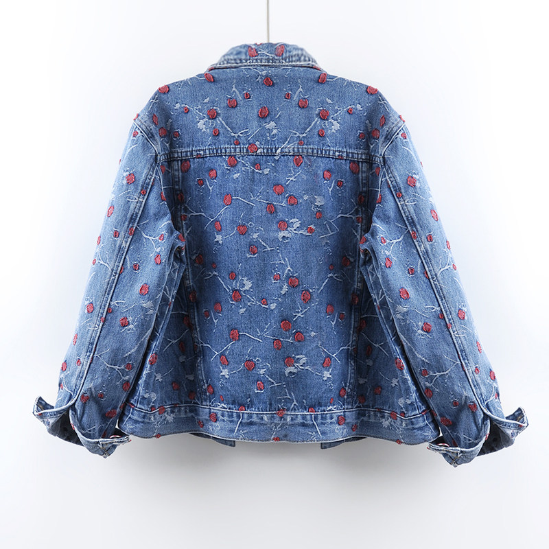 Vintage Embroidery Blue Loose  – обзор и цена Embroidery Jacket Jeans